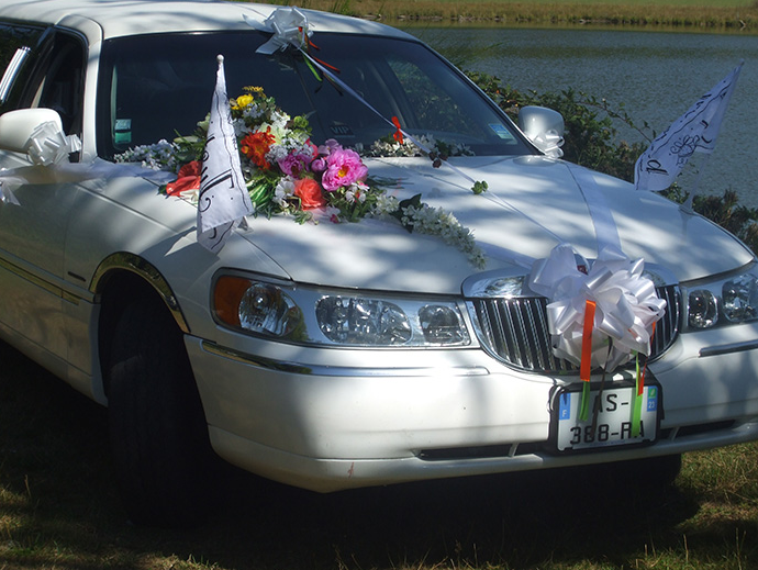 Location de voitures avec chauffeur, déplacement personnel, sortie nocturne